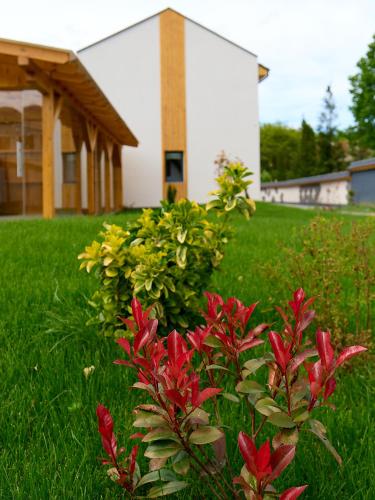 Nadesa Mountain View Villas — Zarnesti — photo 5