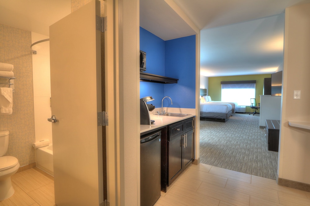 Holiday Inn Express Hotel & Suites Mobile Saraland by IHG - photo 25