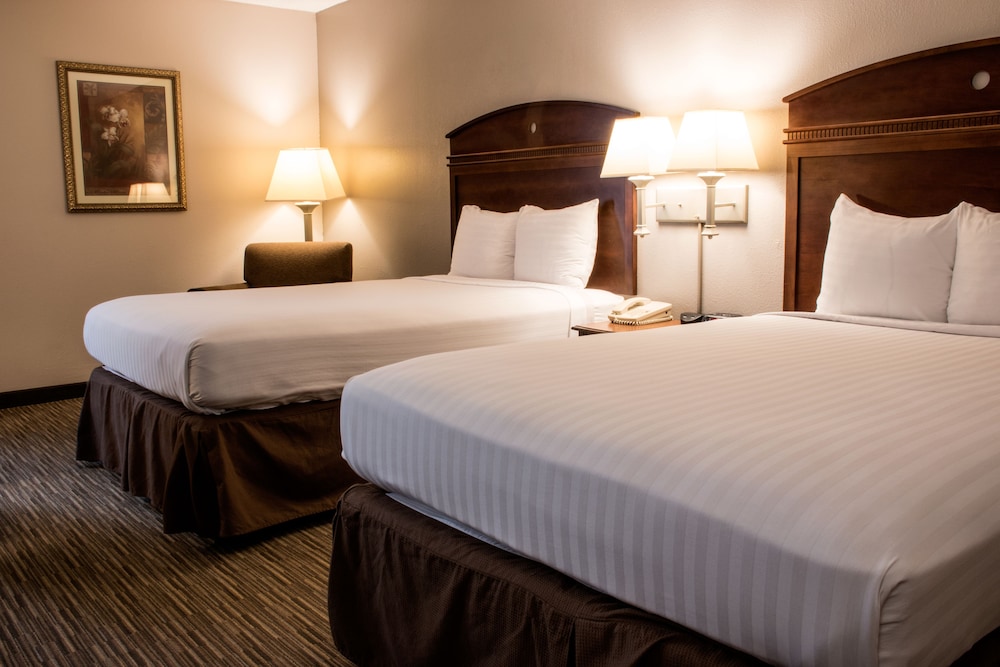 Greenstay Hotel & Suites - photo 11
