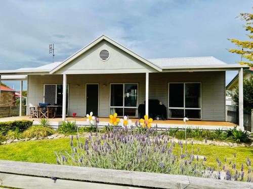 Summer Daysies Pet Friendly Wifi — carbon neutral stay, Robe