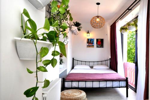 Centre Apartment Old Tbilisi