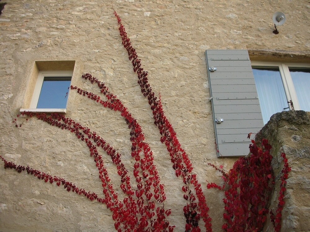 La Couleur des Vignes — hotel in Bonnieux