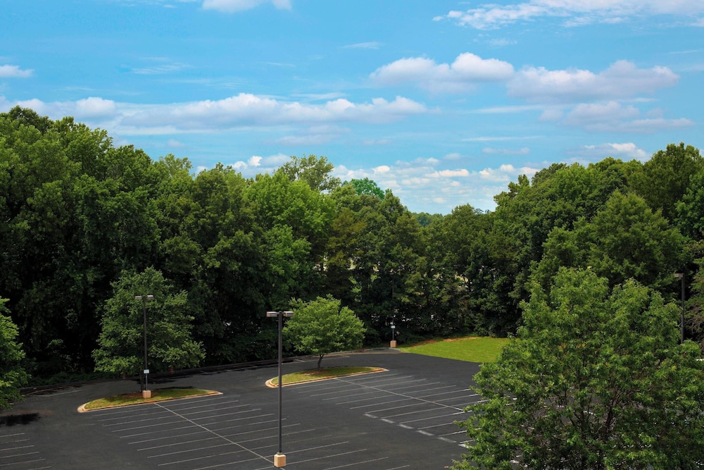 Sheraton Charlotte Airport Hotel - photo 8