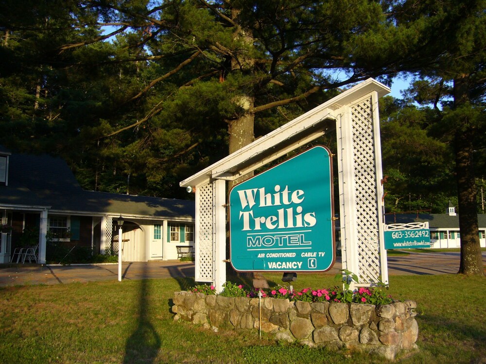White Trellis Motel - photo 14