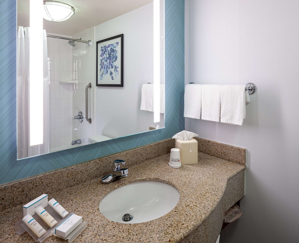 Hilton Garden Inn Chicago OHare Airport - photo 23