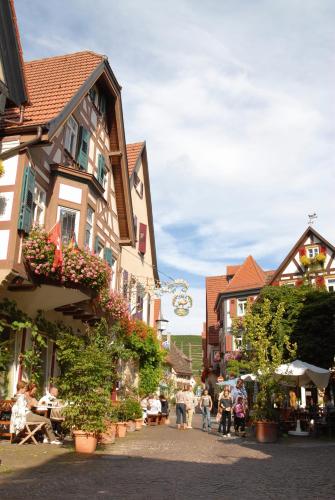 Berne's Altstadthotel — hotel in Besigheim
