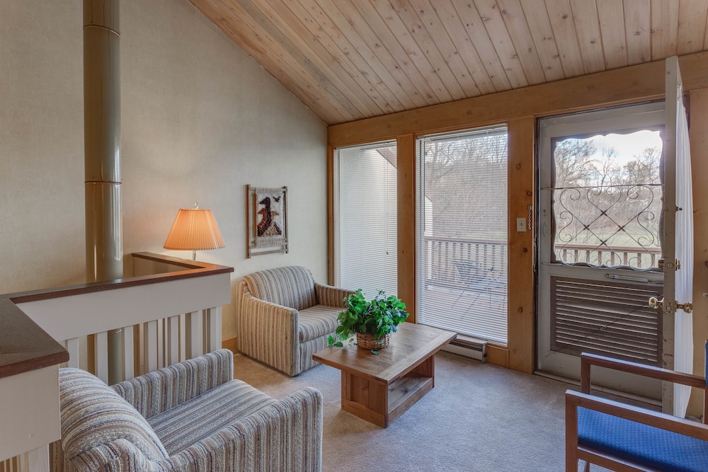 Stony Court at Bryce Mountain - photo 12