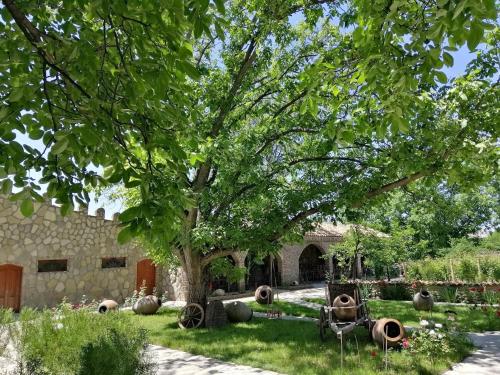 Château Fort de Manavi Boutique Hotel