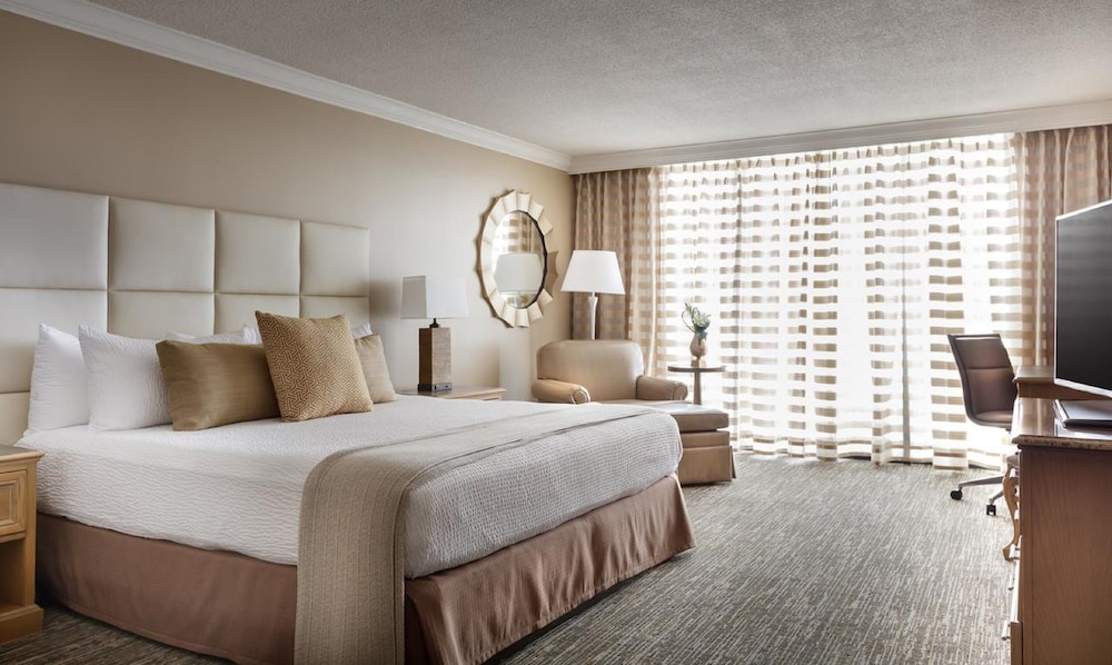 The San Luis Resort Spa & Conference Center - photo 11