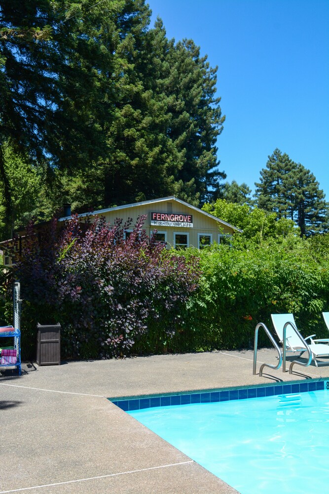 Fern Grove Cottages - photo 50