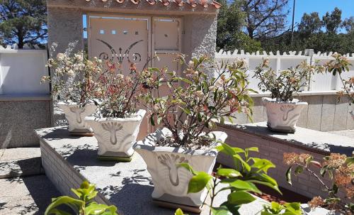 Villa MarHel Arbatax — Arbatax — photo 3