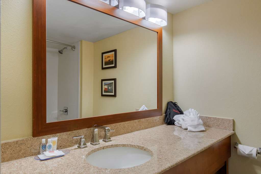 Comfort Inn & Suites SW Houston Sugarland - photo 16