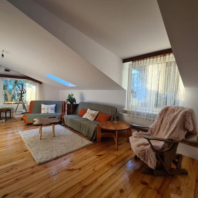 Mansarda boema gradina de basm - last minute hotel in Bucharest