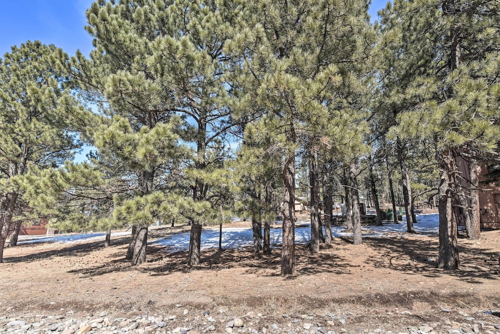 Angel Fire Condo with Fireplace Less Than 1 Mi to Ski Resort - photo 15