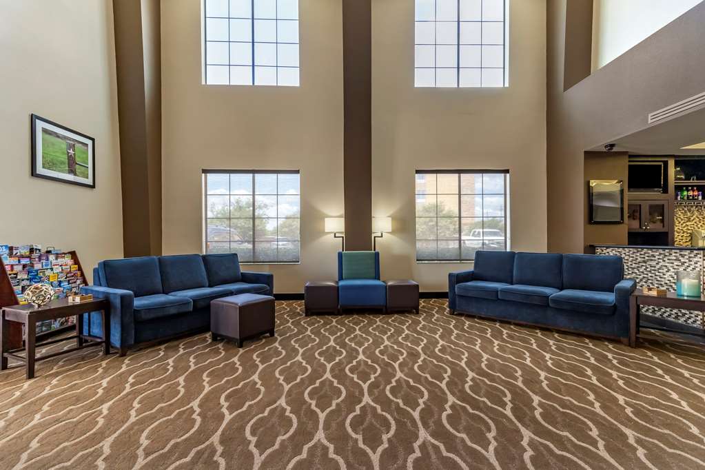 Comfort Suites Buda Austin South - photo 4