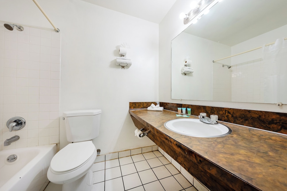 Best Value Inn by OYO Portland OR South East - photo 20