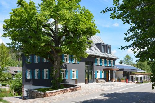 die Säge - last minute hotel in Niedereschach