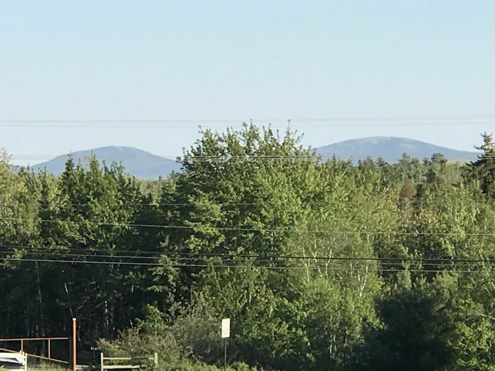 White Birches Motel - photo 104