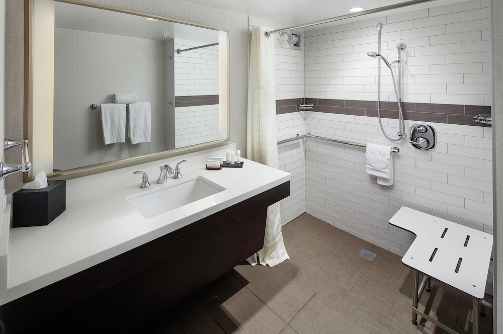 Embassy Suites by Hilton Tysons Corner - photo 14