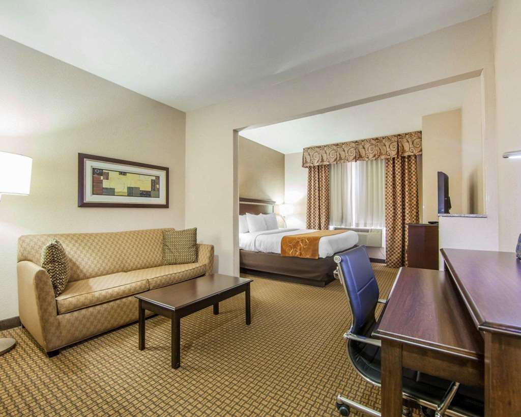 Comfort Suites London South - photo 27