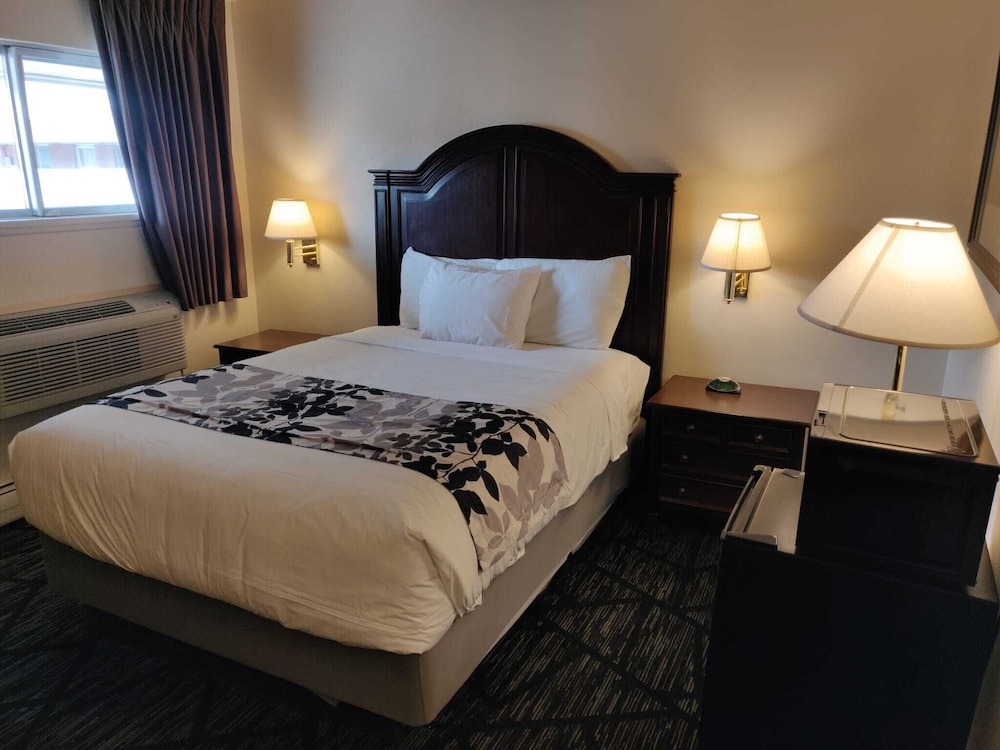 Skyline Motor Inn - photo 5