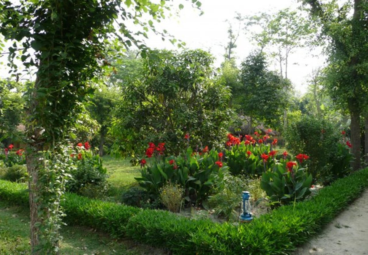 Racyshade Resort Bardia National Park — Bardiya — photo 4