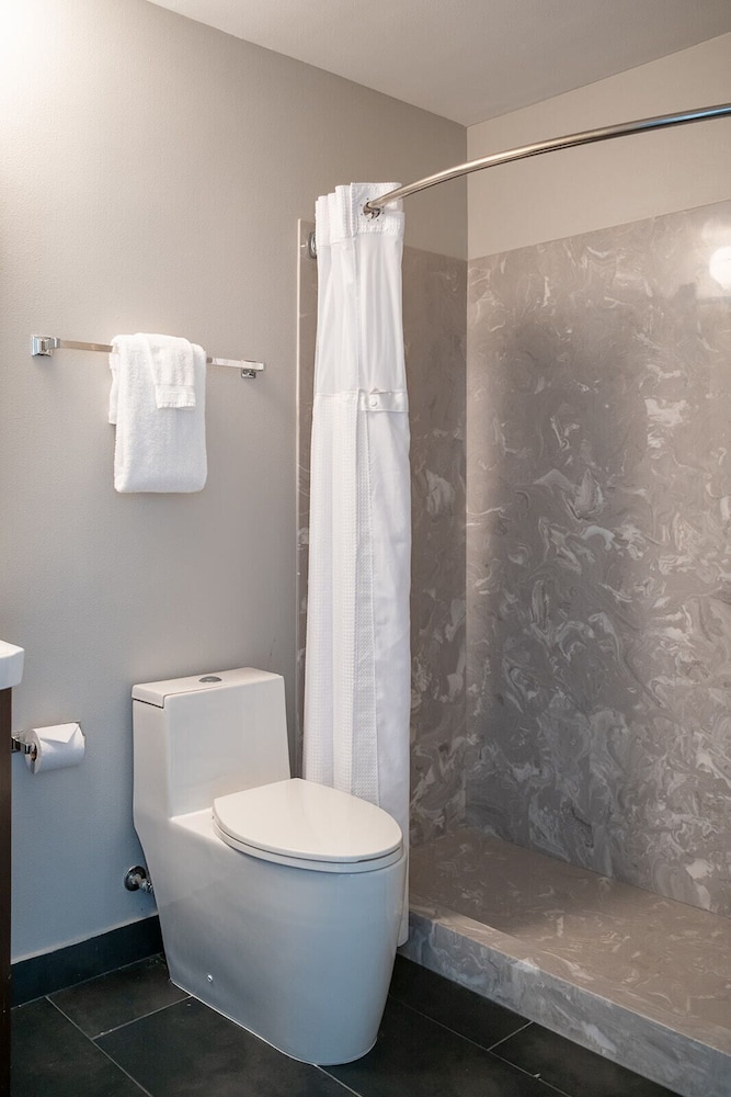 French Quarter Suites Hotel - photo 20