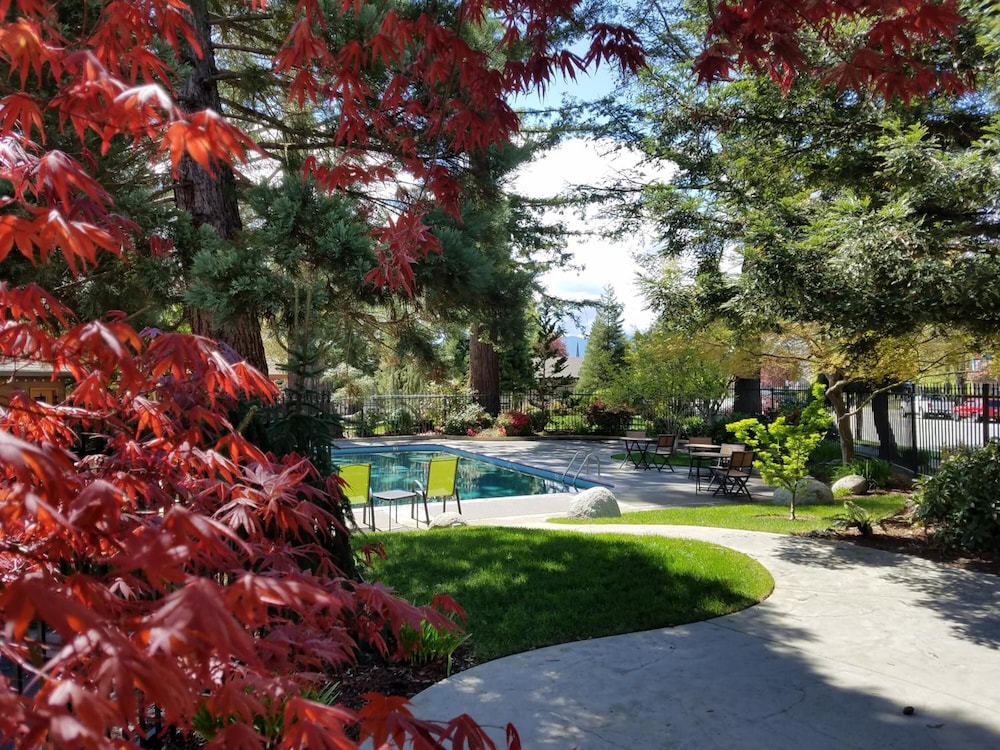 Redwood Garden Inn - photo 20