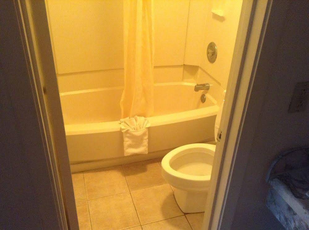 Inn Between The Hedges - photo 5