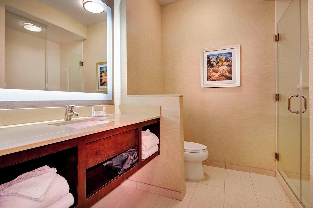 Fairfield Inn & Suites San Diego Carlsbad - photo 16