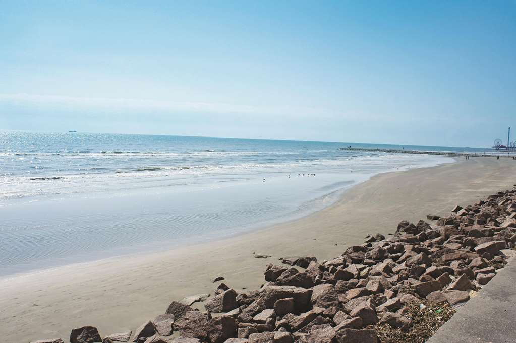 Wingate by Wyndham Galveston Beachfront at the Seawall - photo 39