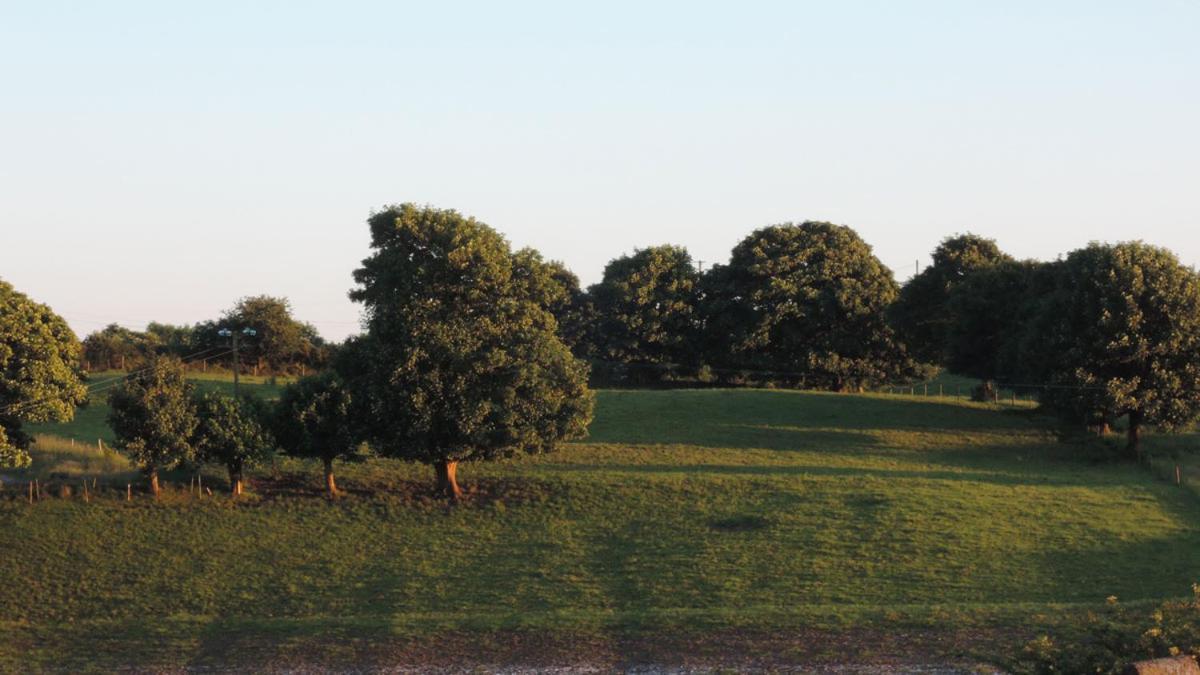 Green Acres Self Catering