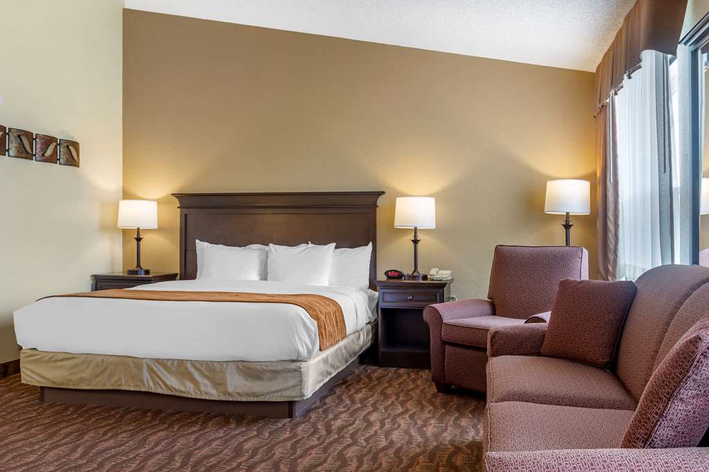Comfort Inn at Thousand Hills - photo 21