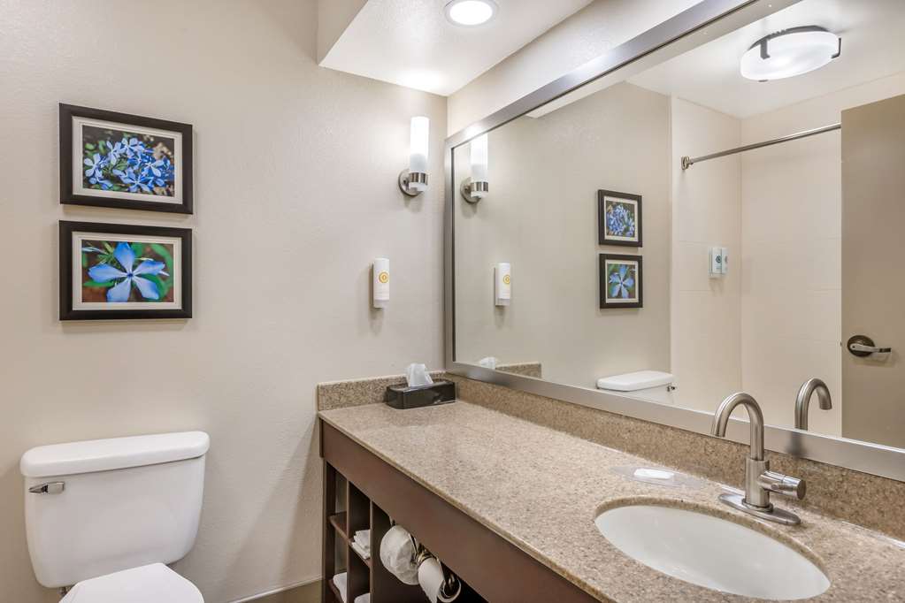 Comfort Inn & Suites Conway - photo 22