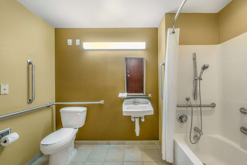 Microtel Inn and Suites by Wyndham Breaux Bridge - photo 14