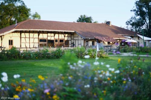 Domaine Des Brouilles — hotel in Montrevel-En-Bresse