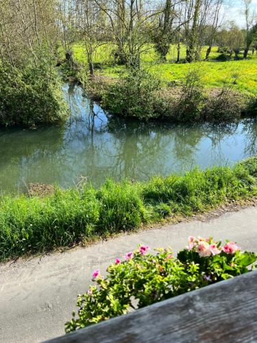 Relais De La Venise Verte — Coulon