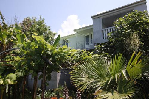 Hitas house