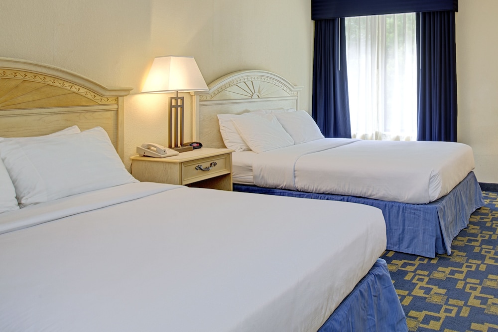 Windsor Hotel - photo 4