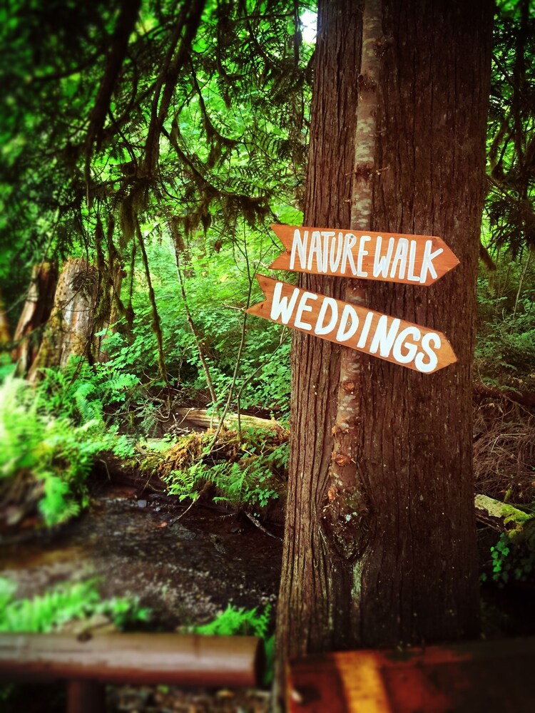 Robin Hood Village Resort - photo 122