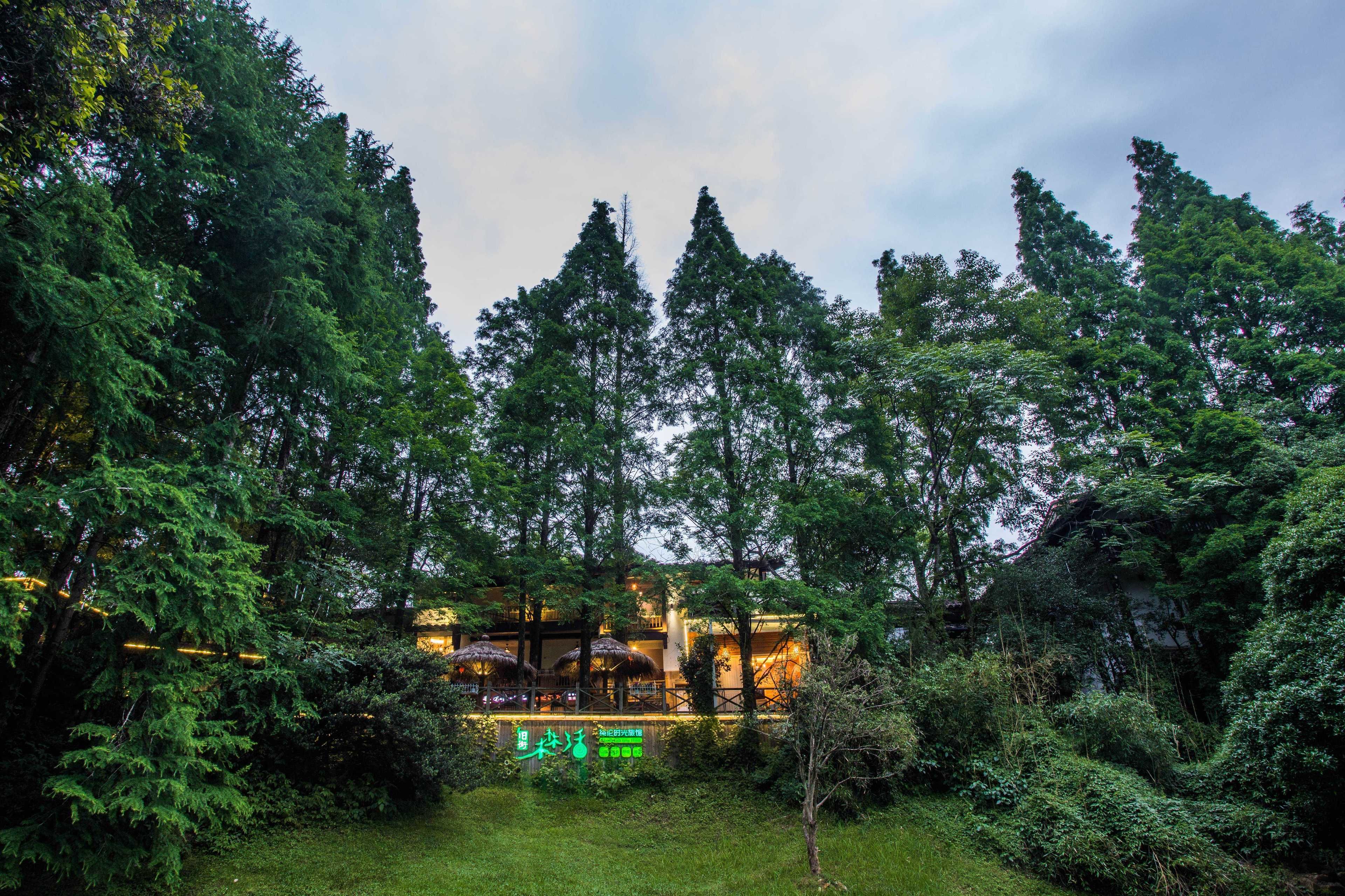 Wuyishan Old Street Sen Live British Inn — hotel in Wuyishan
