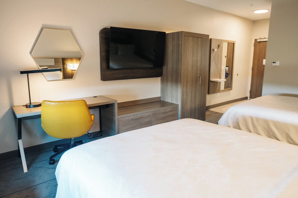 Holiday Inn Express & Suites McCalla Birmingham West by IHG - photo 21