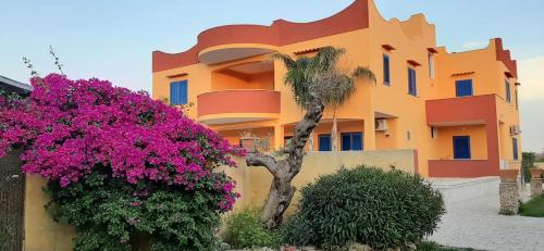 Terra e colori - carbon neutral hotel in Gallipoli