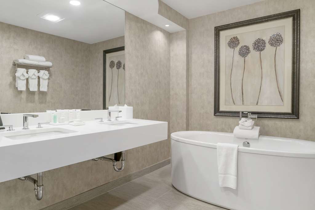 Radisson Plaza Hotel at Kalamazoo Center - photo 4