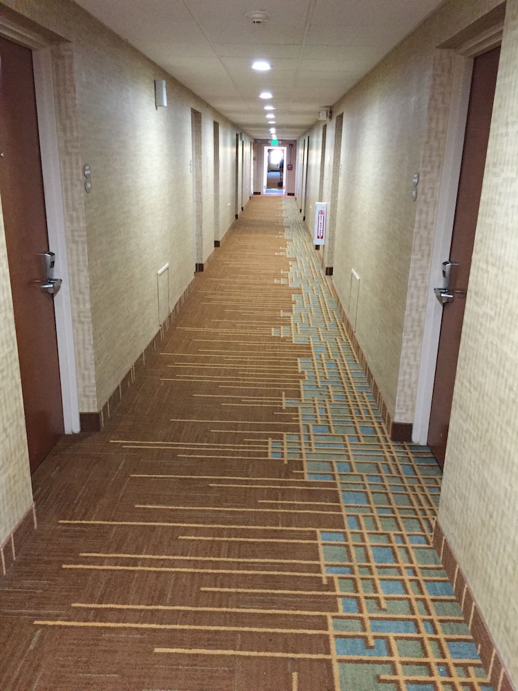 Quality Inn Near Pimlico Racetrack - photo 34