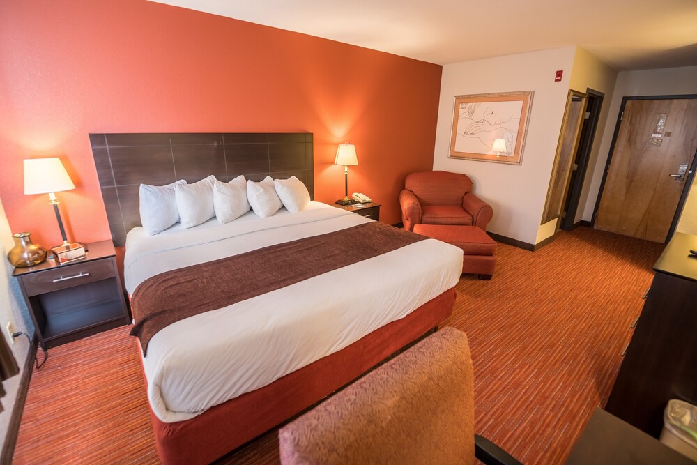 316 Hotel - photo 12