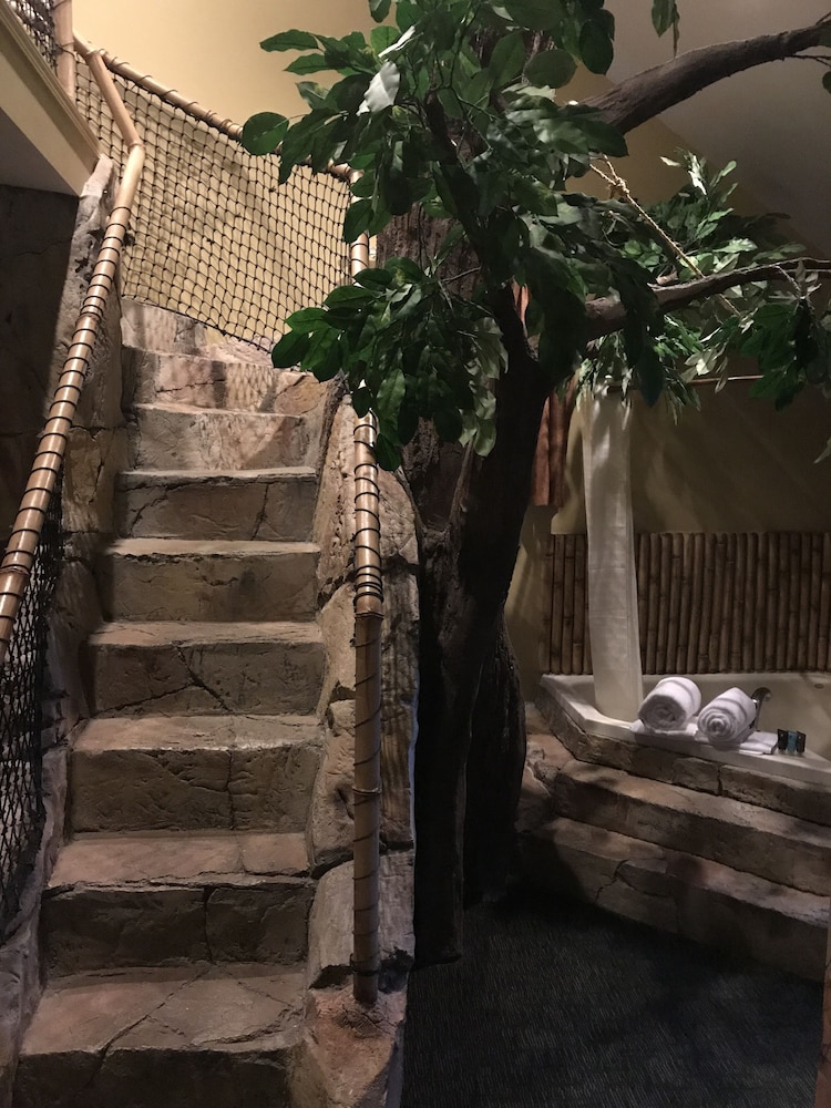 Chateau Avalon - photo 19
