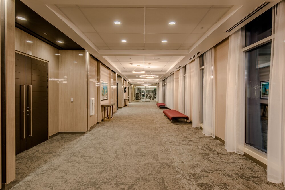 Aloft Dallas Love Field - photo 17