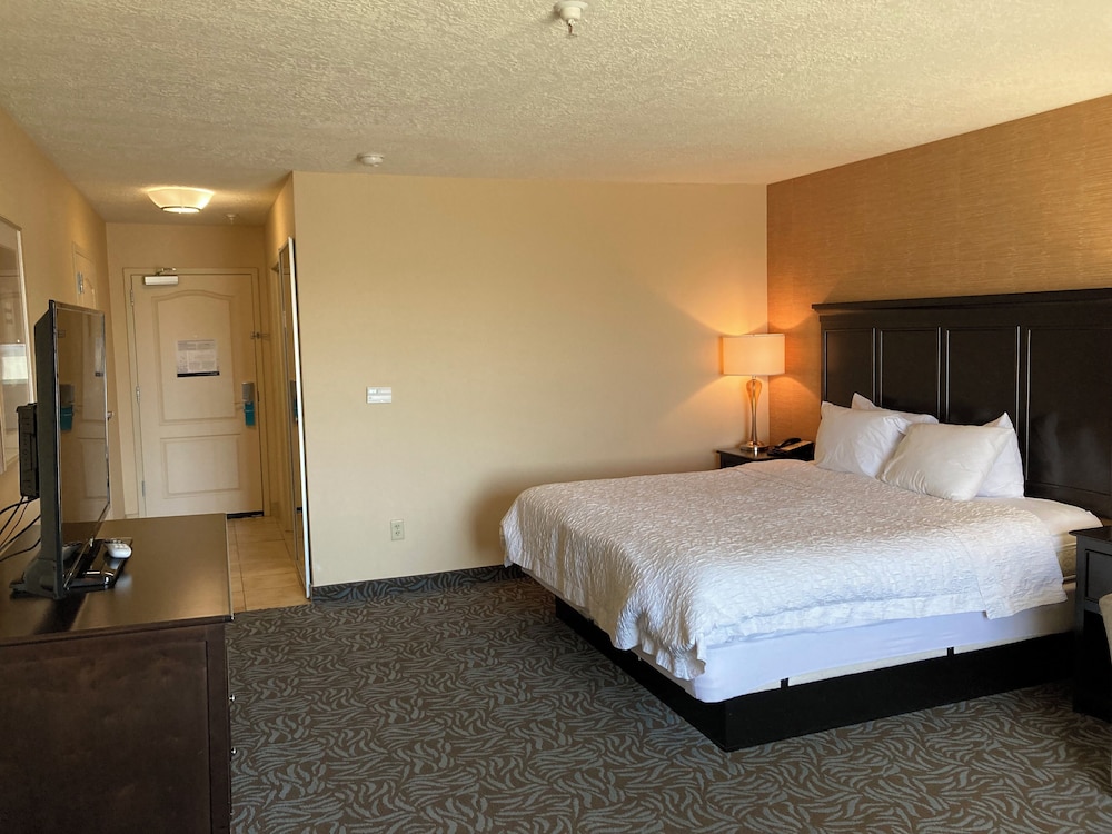 Hampton Inn & Suites Carlsbad - photo 23