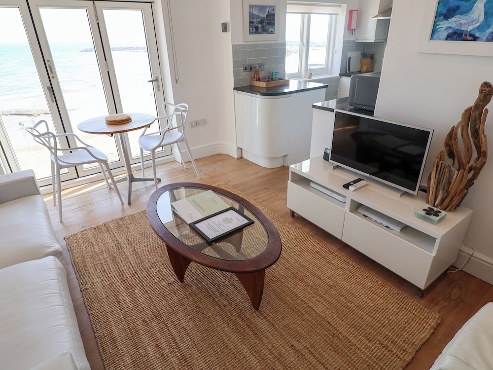 Seagull in Lyme Regis, United Kingdom